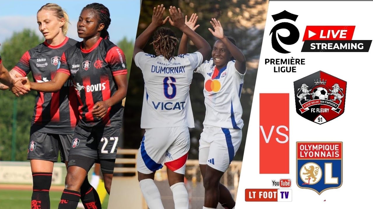 FC Fleury 91 vs En Avant Guingamp： Key Lineups for the Match