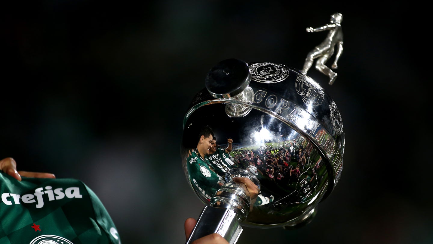 Everything You Need to Know About Libertadores Basketball 2024