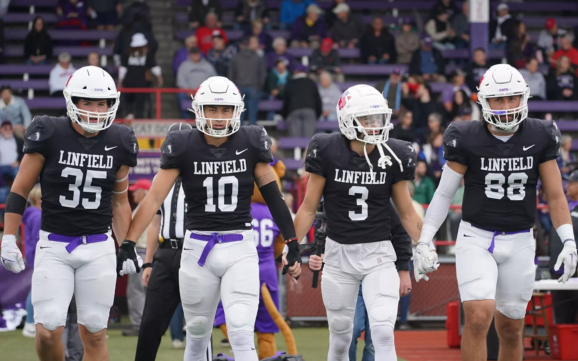 Linfield Football Score Update： Wildcats Dominant Victory Explained