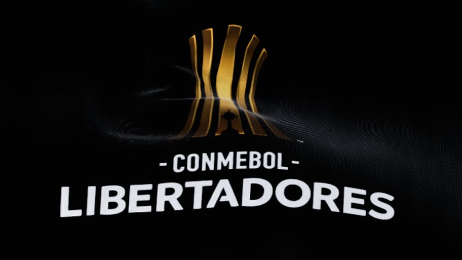 Everything You Need to Know About Libertadores Basketball 2024