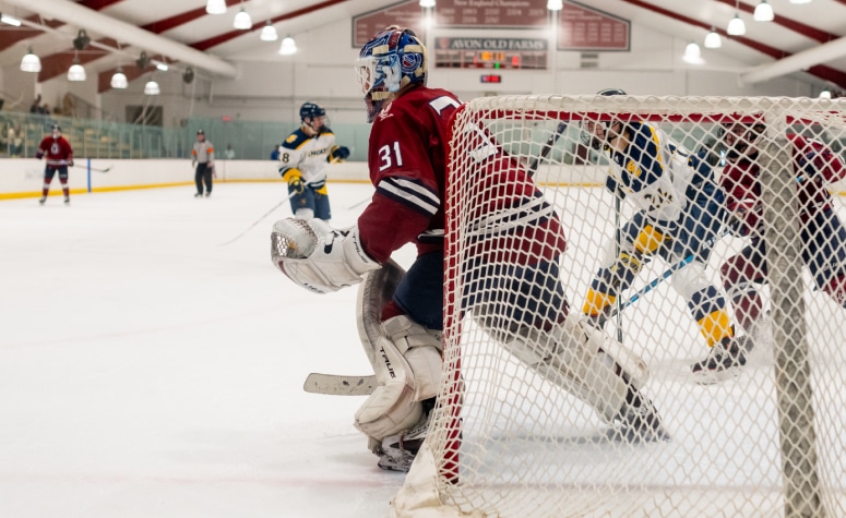 Stephen Peck Hockey, Discover His Journey and Achievements