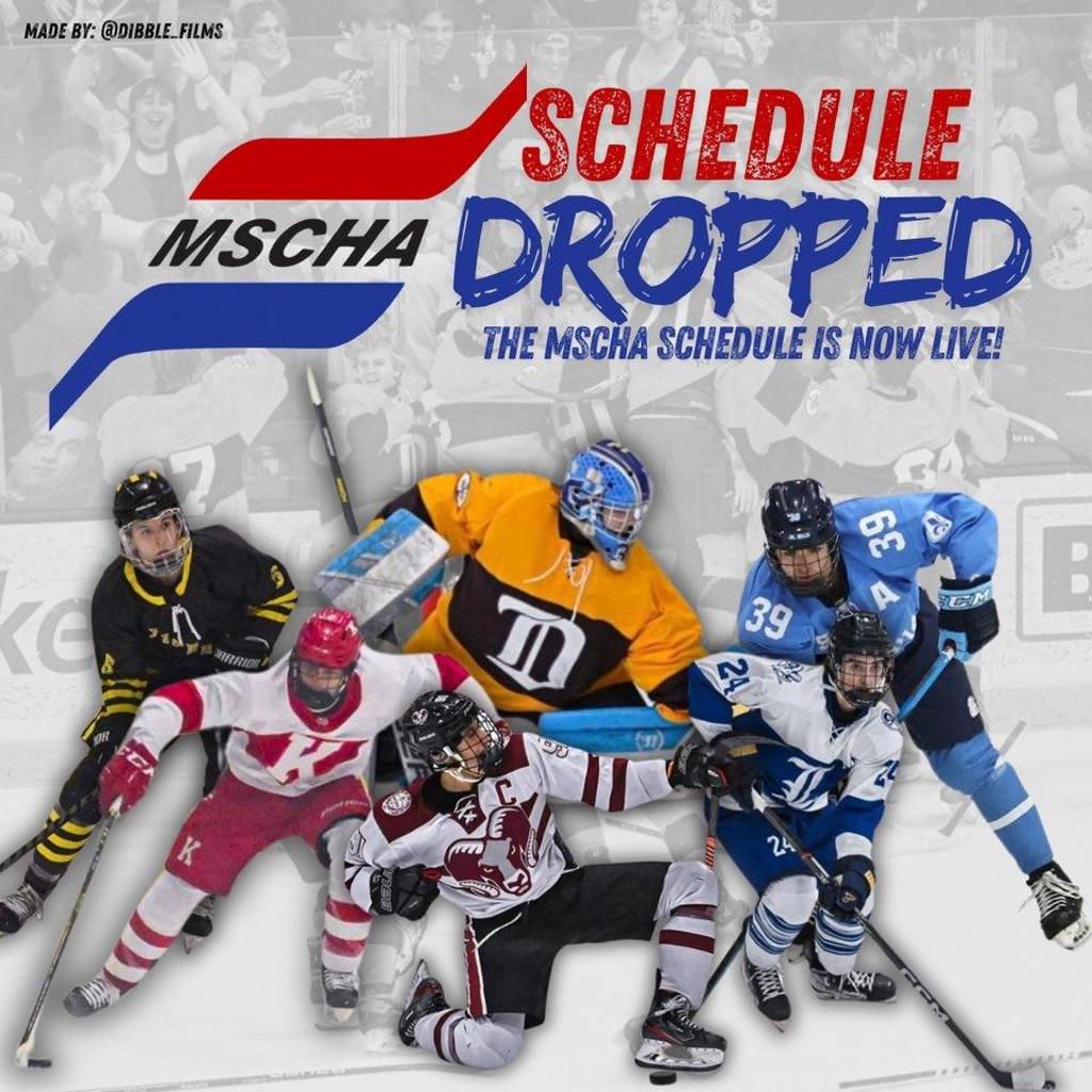 Mid States Hockey Association： Everything You Need to Know About Regional Hockey